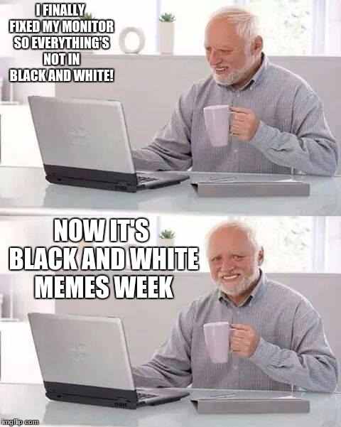 It's black and white memes week! (A DashHopes and Pipe_ Picasso event!) | I FINALLY FIXED MY MONITOR SO EVERYTHING'S NOT IN BLACK AND WHITE! NOW IT'S BLACK AND WHITE MEMES WEEK | image tagged in memes,hide the pain harold,black and white memes week,dashhopes,pipe_picasso | made w/ Imgflip meme maker