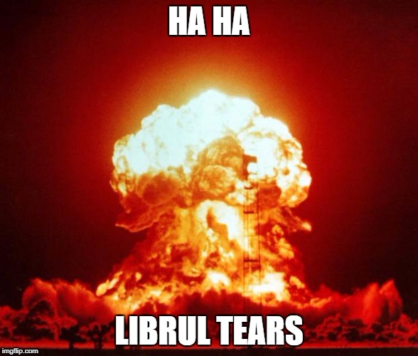 Nuclear Explosion  | HA HA; LIBRUL TEARS | image tagged in nuclear explosion | made w/ Imgflip meme maker