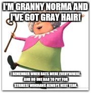 I'M GRANNY NORMA AND I'VE GOT GRAY HAIR! I REMEMBER WHEN BATS WERE EVERYWHERE. AND NO ONE HAD TO PAY FOR STRIKES! WINDIANS ALWAYS NEXT YEAR. | image tagged in granny norma | made w/ Imgflip meme maker