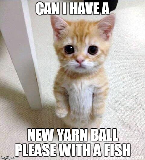 Cute Cat Meme | CAN I HAVE A; NEW YARN BALL PLEASE WITH A FISH | image tagged in memes,cute cat | made w/ Imgflip meme maker