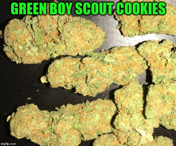 GREEN BOY SCOUT COOKIES | made w/ Imgflip meme maker