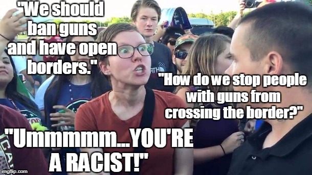 Guns and Borders | "We should ban guns and have open borders."; "How do we stop people with guns from crossing the border?"; "Ummmmm...YOU'RE A RACIST!" | image tagged in guns,open borders | made w/ Imgflip meme maker