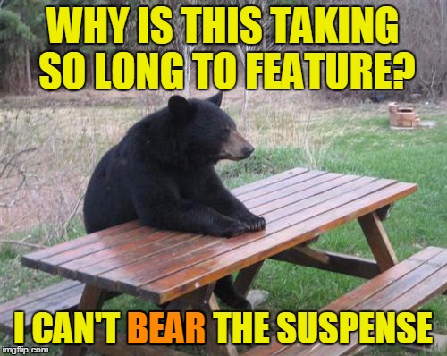 WHY IS THIS TAKING SO LONG TO FEATURE? I CAN'T BEAR THE SUSPENSE BEAR | made w/ Imgflip meme maker