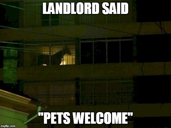 LANDLORD SAID; "PETS WELCOME" | image tagged in horse | made w/ Imgflip meme maker