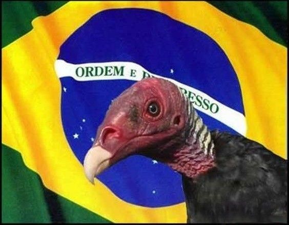 High Quality Brazil 0 Blank Meme Template