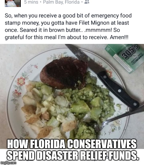 "It Wont Last Forever" | HOW FLORIDA CONSERVATIVES SPEND DISASTER RELIEF FUNDS. | image tagged in nailed it | made w/ Imgflip meme maker