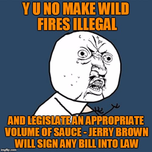 Y U No Meme | Y U NO MAKE WILD FIRES ILLEGAL AND LEGISLATE AN APPROPRIATE VOLUME OF SAUCE - JERRY BROWN WILL SIGN ANY BILL INTO LAW | image tagged in memes,y u no | made w/ Imgflip meme maker
