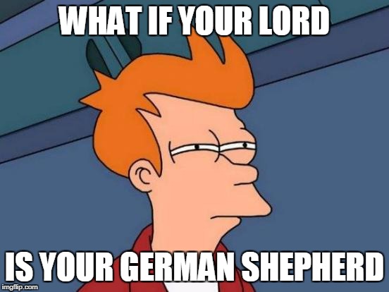 Futurama Fry Meme | WHAT IF YOUR LORD IS YOUR GERMAN SHEPHERD | image tagged in memes,futurama fry | made w/ Imgflip meme maker