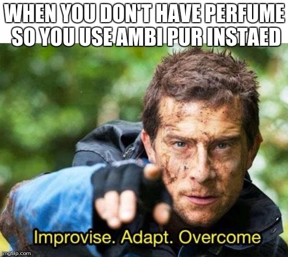 Bear Grylls Improvise Adapt Overcome | WHEN YOU DON'T HAVE PERFUME SO YOU USE AMBI PUR INSTAED | image tagged in bear grylls improvise adapt overcome | made w/ Imgflip meme maker