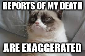 Grumpy cat | REPORTS OF MY DEATH; ARE EXAGGERATED | image tagged in grumpy cat | made w/ Imgflip meme maker