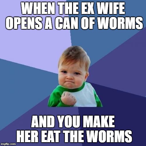 Success Kid | WHEN THE EX WIFE OPENS A CAN OF WORMS; AND YOU MAKE HER EAT THE WORMS | image tagged in memes,success kid,ex-wife | made w/ Imgflip meme maker