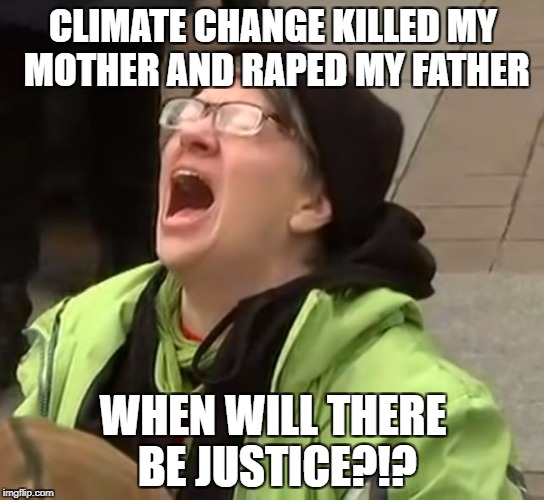 snowflake | CLIMATE CHANGE KILLED MY MOTHER AND RAPED MY FATHER; WHEN WILL THERE BE JUSTICE?!? | image tagged in snowflake | made w/ Imgflip meme maker