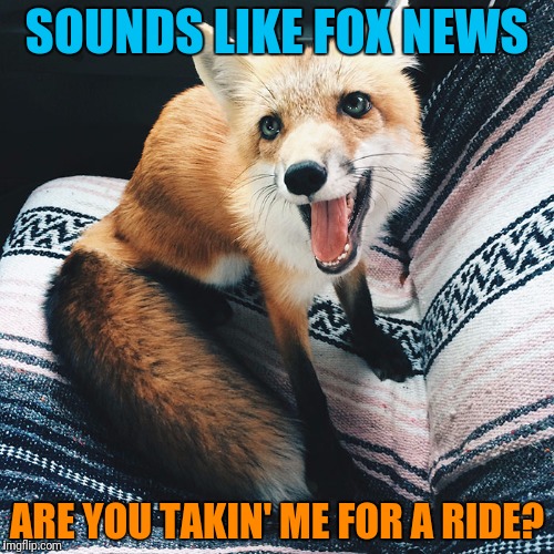SOUNDS LIKE FOX NEWS ARE YOU TAKIN' ME FOR A RIDE? | made w/ Imgflip meme maker