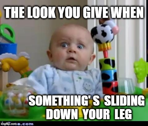surprised baby |  THE LOOK YOU GIVE WHEN; SOMETHING' S  SLIDING  DOWN  YOUR  LEG | image tagged in surprised baby | made w/ Imgflip meme maker