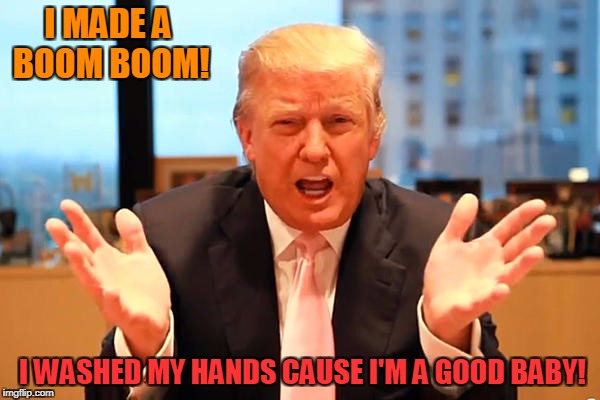 Baby Donald Gets A Gold Star At The White House Day Care | I MADE A BOOM BOOM! I WASHED MY HANDS CAUSE I'M A GOOD BABY! | image tagged in trump birthday meme | made w/ Imgflip meme maker