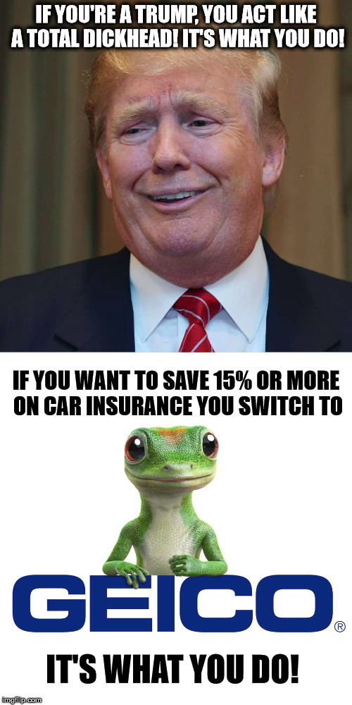Gecko Car Insurance Meme Update Today