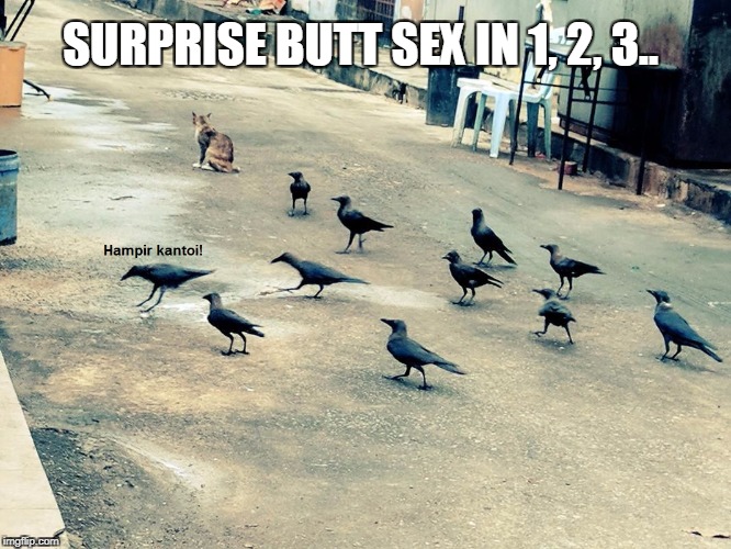 SURPRISE BUTT SEX IN 1, 2, 3.. | made w/ Imgflip meme maker