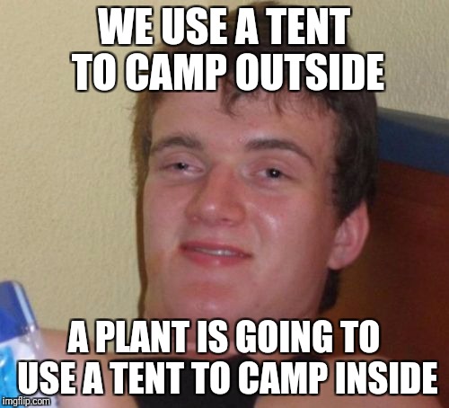 10 Guy Meme | WE USE A TENT TO CAMP OUTSIDE; A PLANT IS GOING TO USE A TENT TO CAMP INSIDE | image tagged in memes,10 guy,AdviceAnimals | made w/ Imgflip meme maker