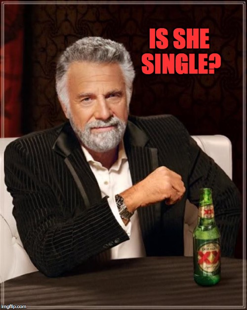 The Most Interesting Man In The World Meme | IS SHE SINGLE? | image tagged in memes,the most interesting man in the world | made w/ Imgflip meme maker