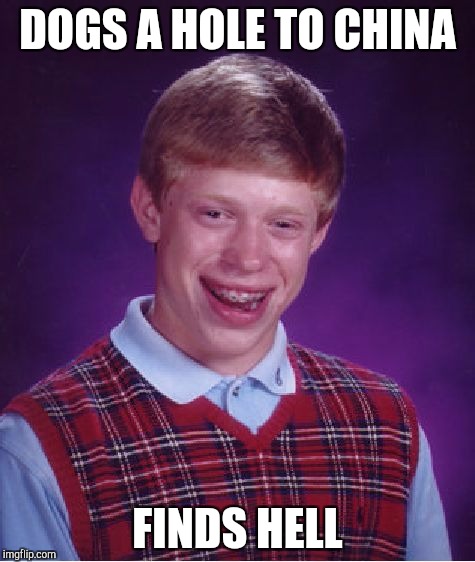 Bad Luck Brian Meme | DOGS A HOLE TO CHINA; FINDS HELL | image tagged in memes,bad luck brian | made w/ Imgflip meme maker