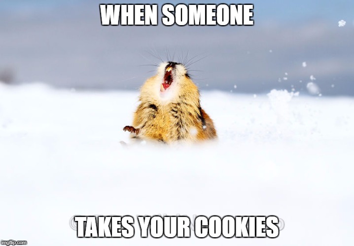 WHEN SOMEONE; TAKES YOUR COOKIES | made w/ Imgflip meme maker