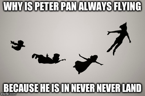 WHY IS PETER PAN ALWAYS FLYING BECAUSE HE IS IN NEVER NEVER LAND | made w/ Imgflip meme maker