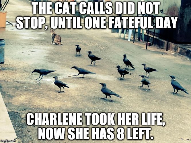 THE CAT CALLS DID NOT STOP, UNTIL ONE FATEFUL DAY; CHARLENE TOOK HER LIFE, NOW SHE HAS 8 LEFT. | made w/ Imgflip meme maker