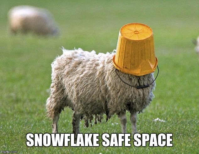 stupid sheep | SNOWFLAKE SAFE SPACE | image tagged in stupid sheep | made w/ Imgflip meme maker