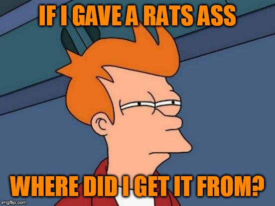 Futurama Fry | IF I GAVE A RATS ASS; WHERE DID I GET IT FROM? | image tagged in memes,futurama fry | made w/ Imgflip meme maker