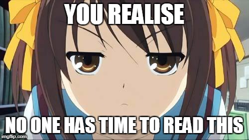 Haruhi stare | YOU REALISE NO ONE HAS TIME TO READ THIS | image tagged in haruhi stare | made w/ Imgflip meme maker