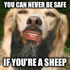 YOU CAN NEVER BE SAFE IF YOU'RE A SHEEP | made w/ Imgflip meme maker