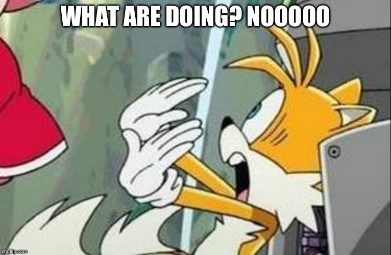 Tails | WHAT ARE DOING? NOOOOO | image tagged in tails | made w/ Imgflip meme maker