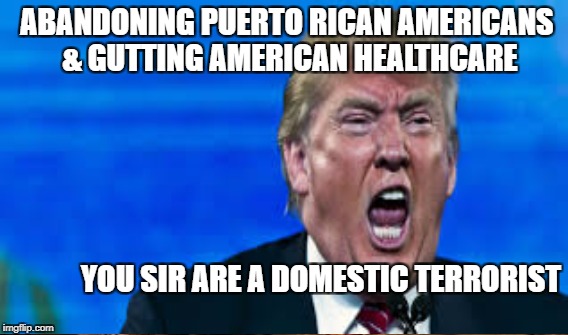 Trump's War on America | ABANDONING PUERTO RICAN AMERICANS & GUTTING AMERICAN HEALTHCARE; YOU SIR ARE A DOMESTIC TERRORIST | image tagged in trump,killer,terrorist | made w/ Imgflip meme maker