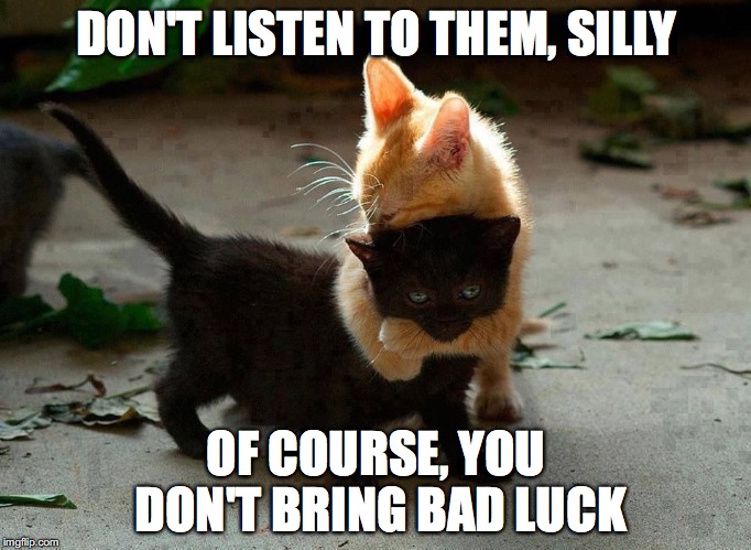 Happy Friday 13th! | DON'T LISTEN TO THEM, SILLY; OF COURSE, YOU DON'T BRING BAD LUCK | image tagged in kitten hug | made w/ Imgflip meme maker
