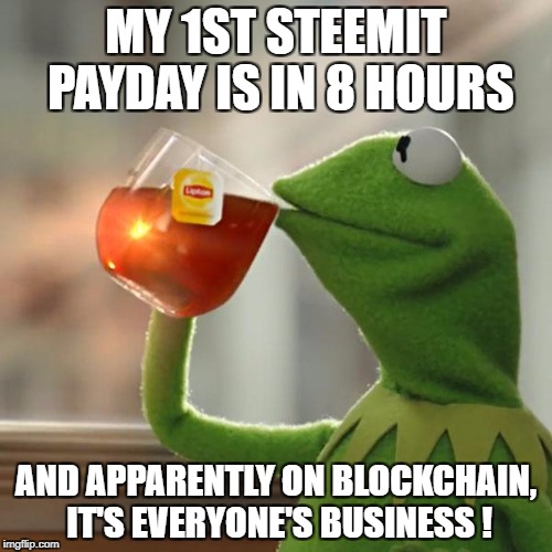 But That's None Of My Business Meme | MY 1ST STEEMIT PAYDAY IS IN 8 HOURS; AND APPARENTLY ON BLOCKCHAIN, IT'S EVERYONE'S BUSINESS ! | image tagged in memes,but thats none of my business,kermit the frog | made w/ Imgflip meme maker