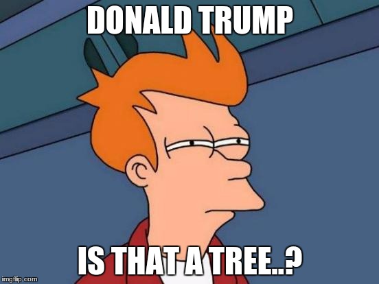 DONALD TRUMP | DONALD TRUMP; IS THAT A TREE..? | image tagged in memes,futurama fry,tree | made w/ Imgflip meme maker