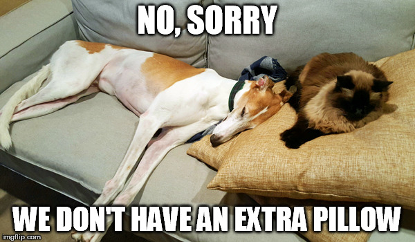 NO, SORRY WE DON'T HAVE AN EXTRA PILLOW | made w/ Imgflip meme maker