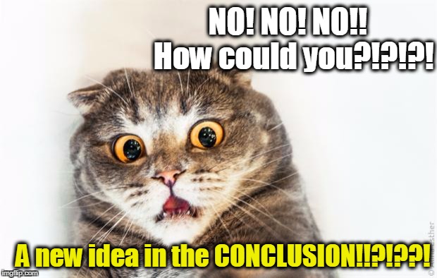 horrified cat | NO! NO! NO!!  How could you?!?!?! A new idea in the CONCLUSION!!?!??! | image tagged in horrified cat | made w/ Imgflip meme maker