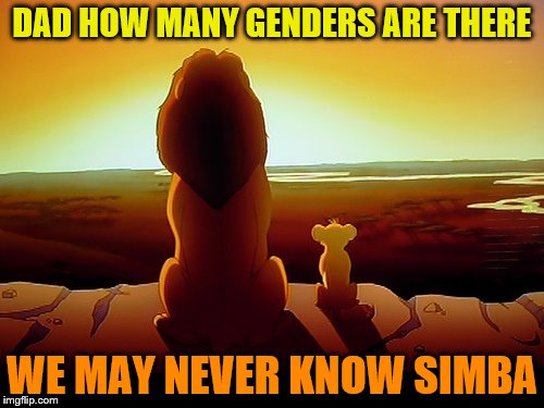 Lion King Meme | DAD HOW MANY GENDERS ARE THERE; WE MAY NEVER KNOW SIMBA | image tagged in memes,lion king | made w/ Imgflip meme maker