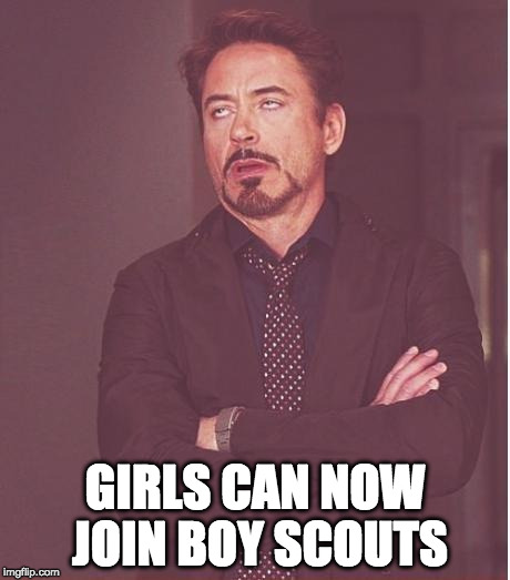 sums it up | GIRLS CAN NOW JOIN BOY SCOUTS | image tagged in memes,face you make robert downey jr,boy scouts,girl scouts,liberal logic | made w/ Imgflip meme maker