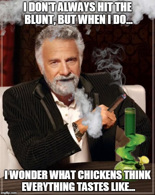 themostinterestingstonerintheworld | I DON'T ALWAYS HIT THE BLUNT, BUT WHEN I DO... I WONDER WHAT CHICKENS THINK EVERYTHING TASTES LIKE... | image tagged in the most interesting man in the world,hits blunt,weed | made w/ Imgflip meme maker