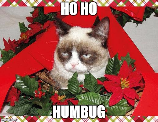Grumpy Cat Mistletoe |  HO HO; HUMBUG | image tagged in memes,grumpy cat mistletoe,grumpy cat | made w/ Imgflip meme maker