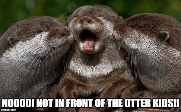 NOOOO! NOT IN FRONT OF THE OTTER KIDS!! | image tagged in not in front of the other kids,otter,bad pun,otter pun,embarrassing,funny animal | made w/ Imgflip meme maker