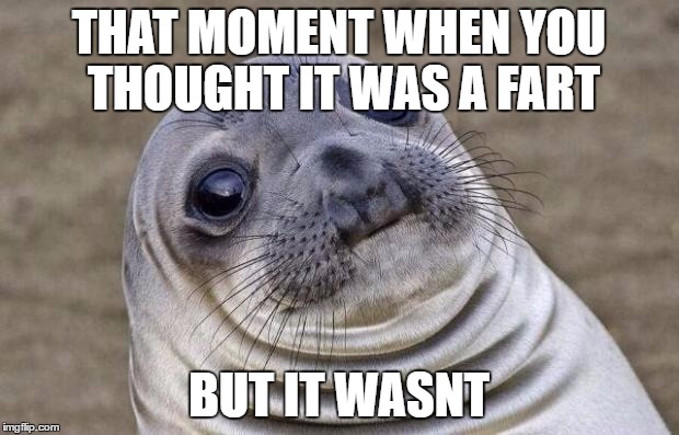 Awkward Moment Sealion | THAT MOMENT WHEN YOU THOUGHT IT WAS A FART; BUT IT WASNT | image tagged in memes,awkward moment sealion | made w/ Imgflip meme maker