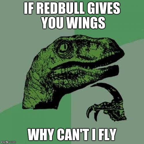 Philosoraptor | IF REDBULL GIVES YOU WINGS; WHY CAN'T I FLY | image tagged in memes,philosoraptor | made w/ Imgflip meme maker