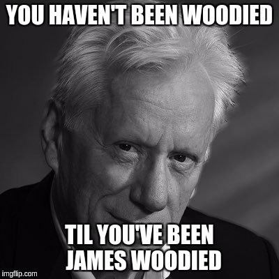 James woods | YOU HAVEN'T BEEN WOODIED; TIL YOU'VE BEEN  JAMES WOODIED | image tagged in james woods | made w/ Imgflip meme maker