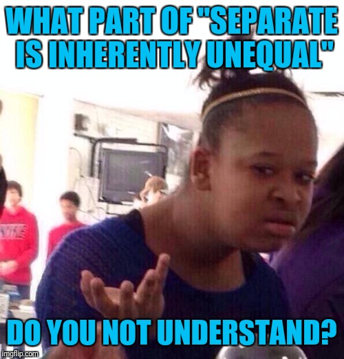 Girl Scouts is not a "separate but equal" organization to Boy Scouts  | WHAT PART OF "SEPARATE IS INHERENTLY UNEQUAL"; DO YOU NOT UNDERSTAND? | image tagged in memes,black girl wat | made w/ Imgflip meme maker