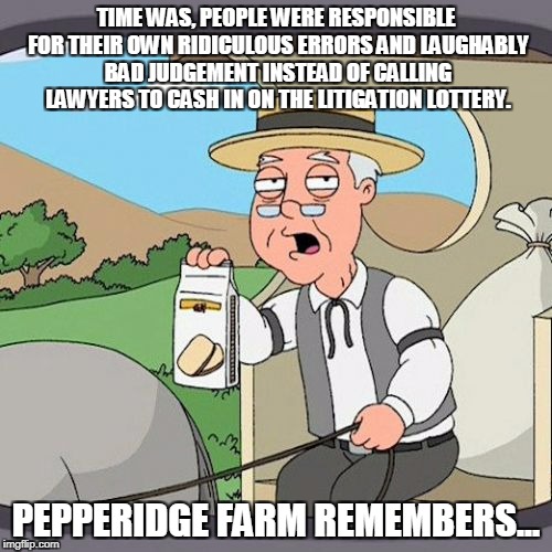 Pepperidge Farm Remembers Meme | TIME WAS, PEOPLE WERE RESPONSIBLE FOR THEIR OWN RIDICULOUS ERRORS AND LAUGHABLY BAD JUDGEMENT INSTEAD OF CALLING LAWYERS TO CASH IN ON THE LITIGATION LOTTERY. PEPPERIDGE FARM REMEMBERS... | image tagged in memes,pepperidge farm remembers | made w/ Imgflip meme maker