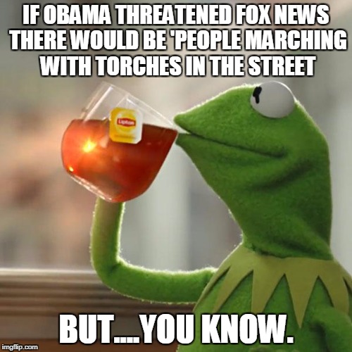 But That's None Of My Business Meme | IF OBAMA THREATENED FOX NEWS THERE WOULD BE 'PEOPLE MARCHING WITH TORCHES IN THE STREET; BUT....YOU KNOW. | image tagged in memes,but thats none of my business,kermit the frog | made w/ Imgflip meme maker