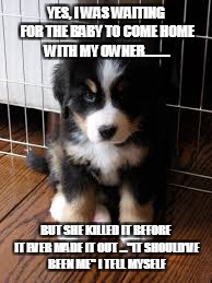 dog feels bad for owners baby abortion...i would to. | YES, I WAS WAITING FOR THE BABY TO COME HOME WITH MY OWNER......... BUT SHE KILLED IT BEFORE IT EVER MADE IT OUT ..."IT SHOULD'VE BEEN ME" I TELL MYSELF | image tagged in advice dog | made w/ Imgflip meme maker
